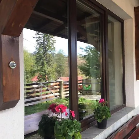 Homestay Kalmia Studio