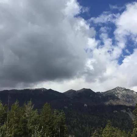 Kalmia Studio * Sinaia